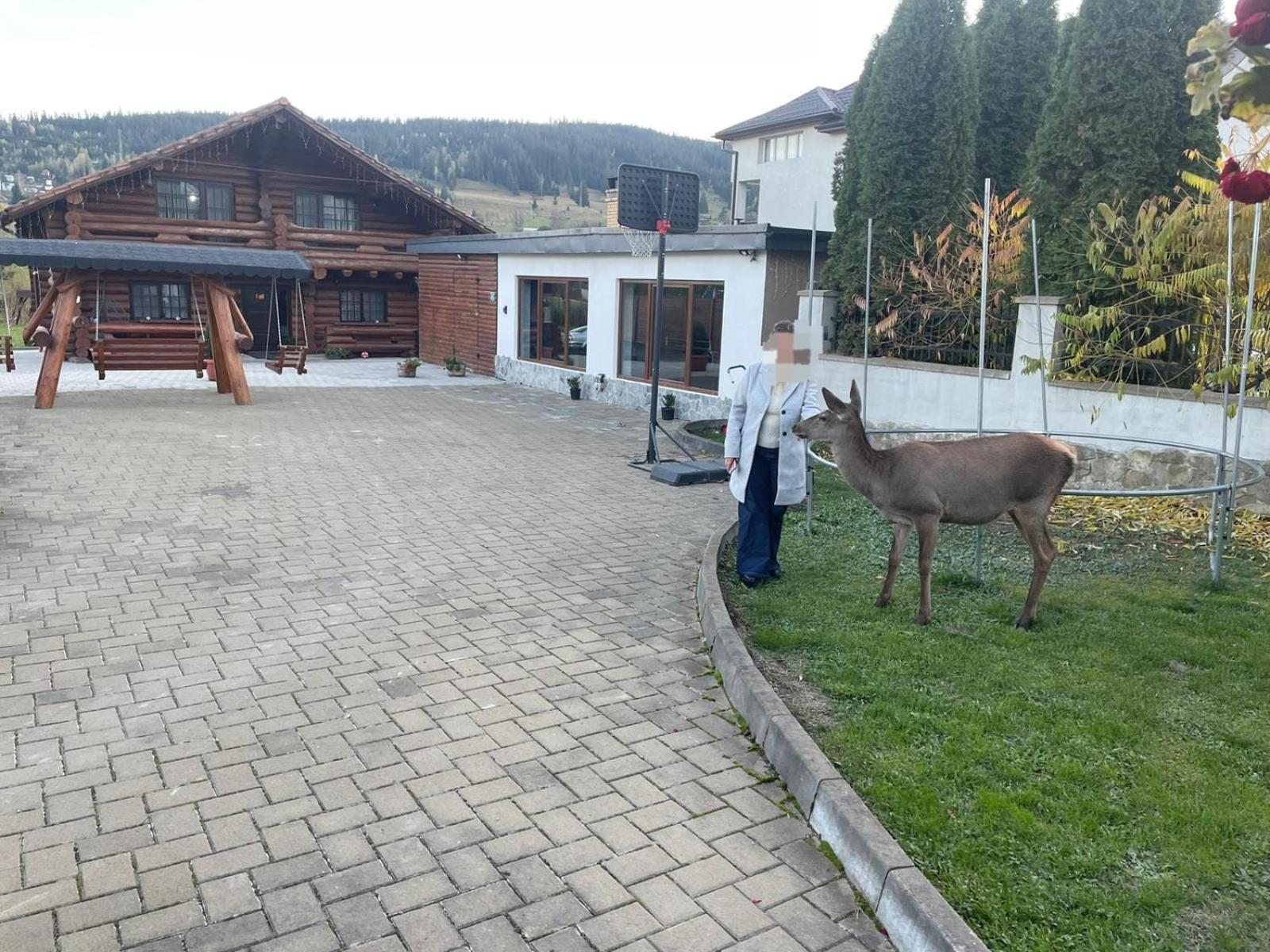 Casa De Munte Villa Dornavátra Kültér fotó